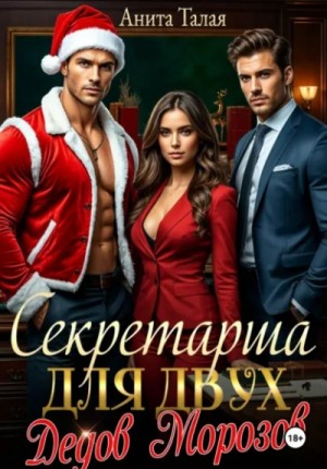 Анита Талая - Секретарша для двух Дедов Морозов
