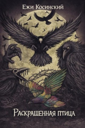 Ежи Косинский - Раскрашенная птица