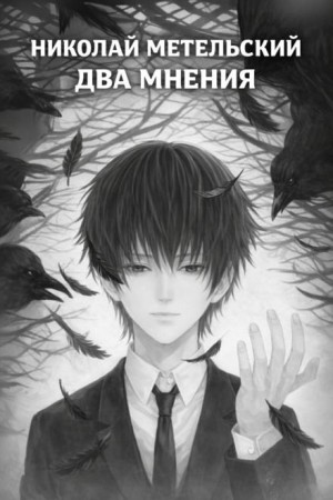 Николай Метельский - Два мнения