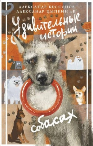 Александр Цыпкин, Александр Бессонов, Юлиана Александрова - Сборник «Удивительные истории о собаках»