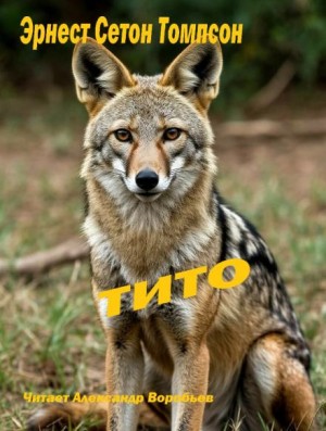 Эрнест Сетон-Томпсон - Тито - дочь степей