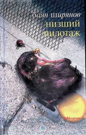 Баян Ширянов - Низший пилотаж