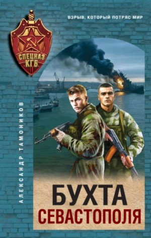 Александр Тамоников - Бухта Севастополя