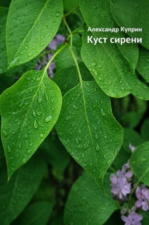 Александр Иванович Куприн - Куст сирени