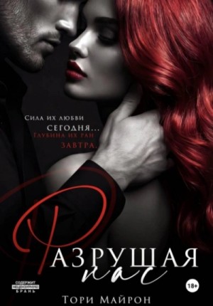 Тори Майрон - Разрушая нас