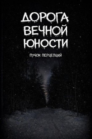 Пучок Перцепций - Дорога вечной юности