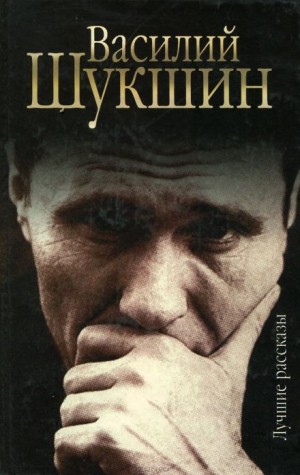 Василий Шукшин - Рассказы. Часть 5