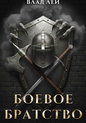 Влад Лей - Боевое Братство