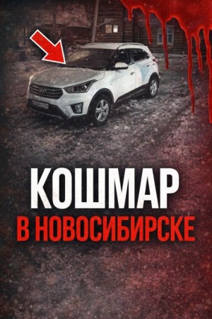  - Поехала на сделку и исчезла