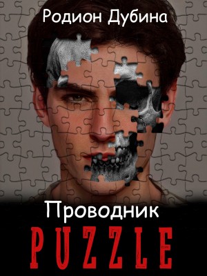 Родион Дубина - Проводник