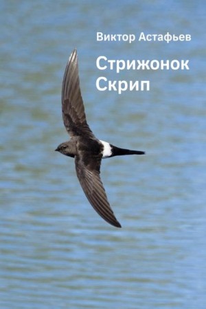 Виктор Астафьев - Стрижонок Скрип