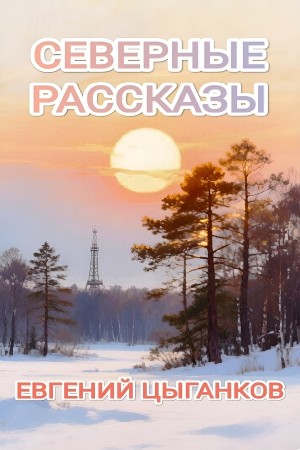 Евгений Цыганков - Северные рассказы