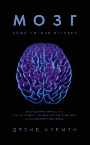 Дэвид Иглмен - Мозг: Ваша личная история
