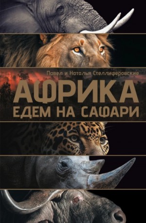 Стеллиферовская Наталья, Павел Стеллиферовский - Африка. Едем на сафари