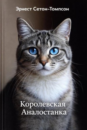 Эрнест Сетон-Томпсон - Королевская Аналостанка / Трущобная кошка