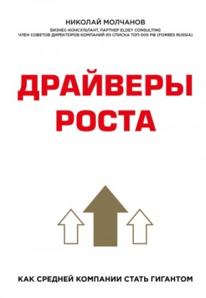 Николай Викторович Молчанов - Драйверы роста