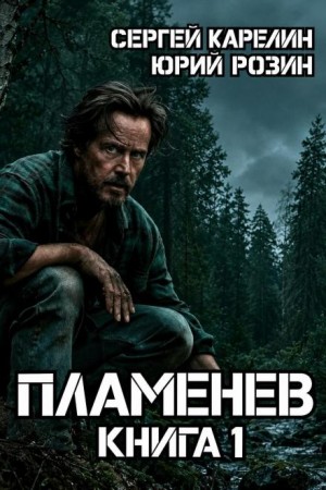 Сергей Карелин, Юрий Розин - Пламенев. Книга I