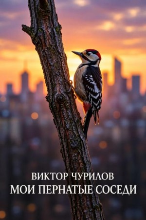 Виктор Чурилов - Мои пернатые соседи