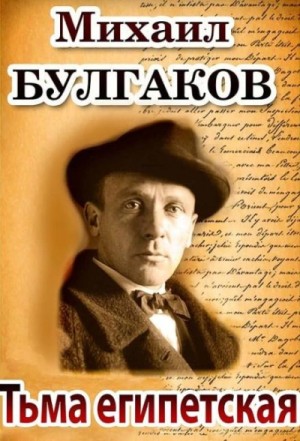 Михаил Афанасьевич Булгаков - Записки юного врача: 5. Тьма египетская